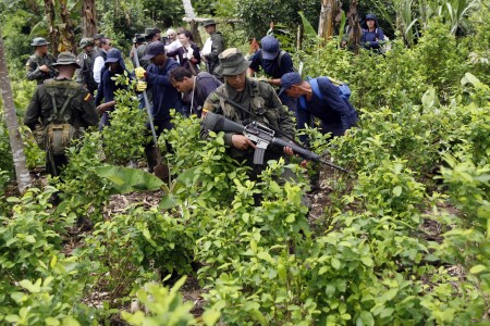 Anti-drugs policemen escort workers during an eradication operation at a coca leaves plantation near San Miguel