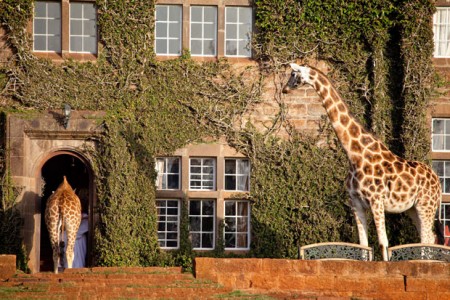 Giraffe mansion Nairobi