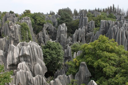 Stone Forest , China