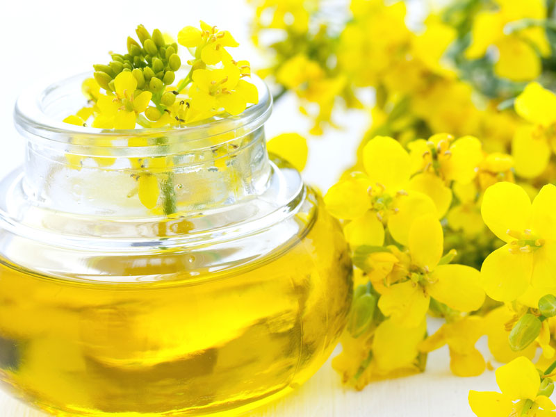 5 Lesser Known Benefits of Rapeseed Oil