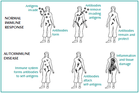 What you Need to Know About Autoimmune Diseases? Repeated Infections Lead to Serious Problems