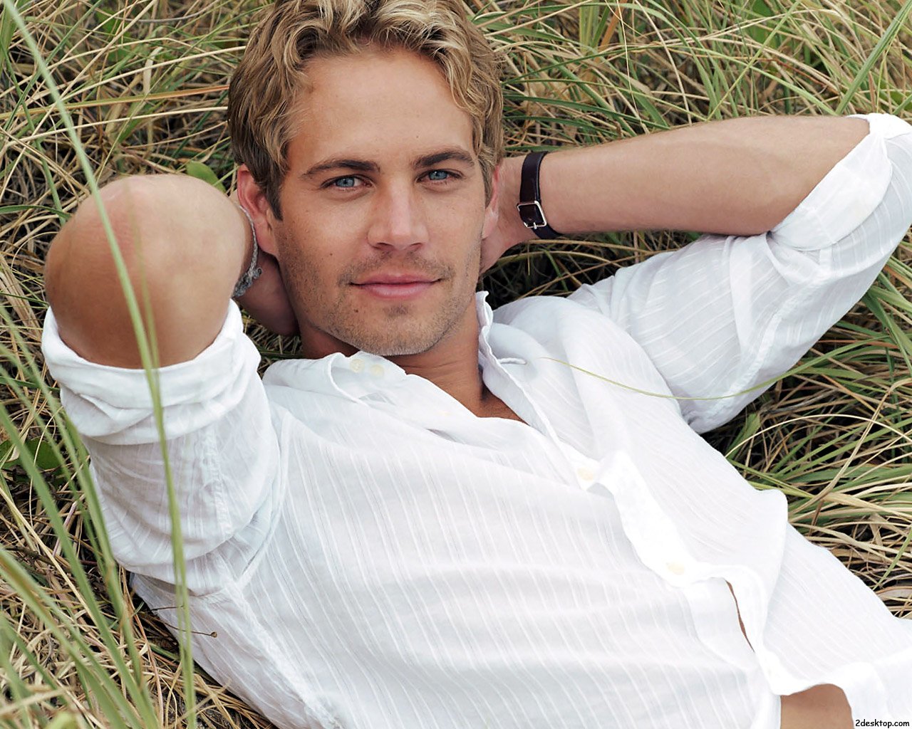 Paul Walker’s Fortune  Amounting to Over $ 45 Million Coveted Including by Former Girlfriends of the Actor